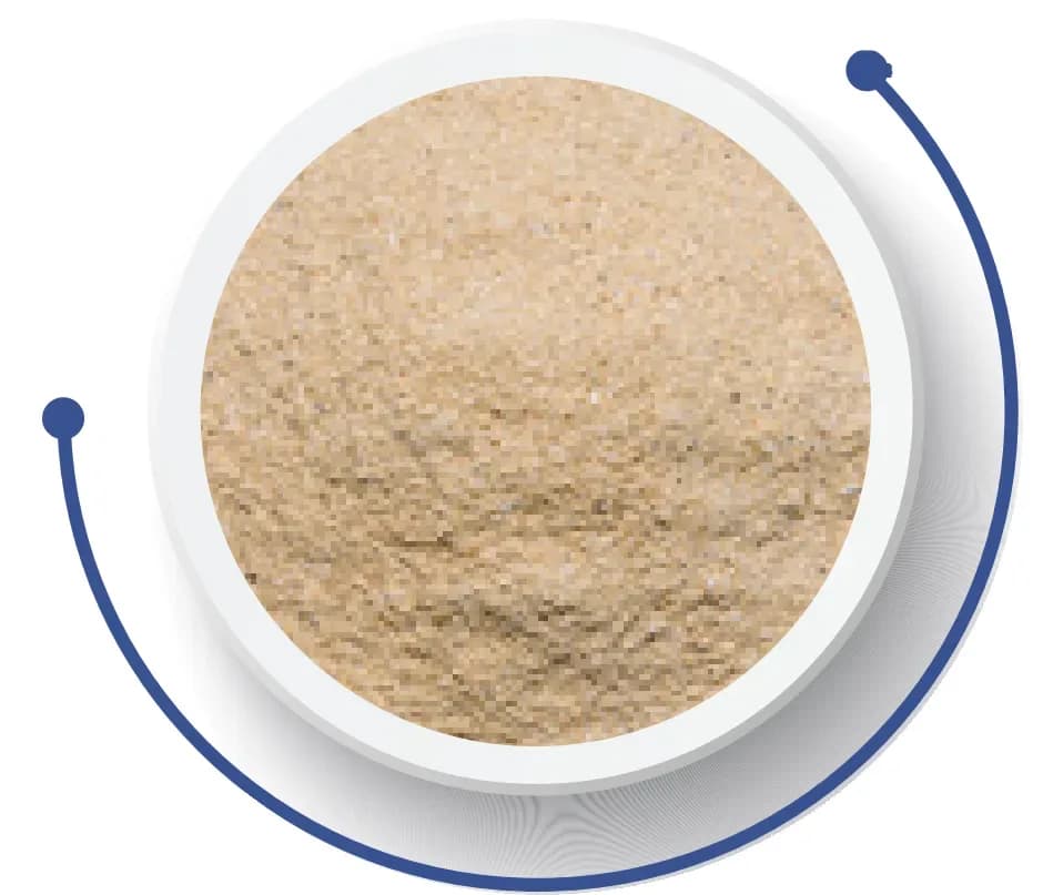 VPP - Veículo para Premix